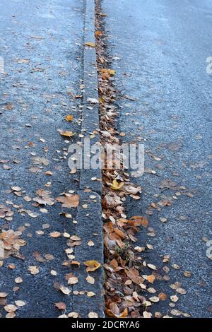 Foglie d'autunno caduto che si stese su un marciapiede e su una strada Foto Stock