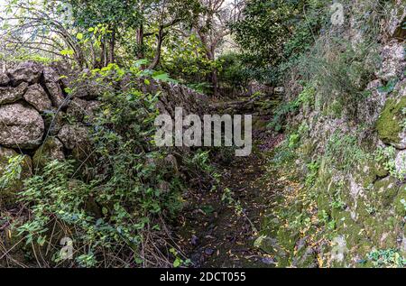 Bella fotografia di un'immagine autunnale, da un piccolo ruscello nella città di Dea, a Maiorca. Foto Stock