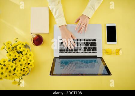 Imprenditore femmina lavorando sul computer portatile Foto Stock