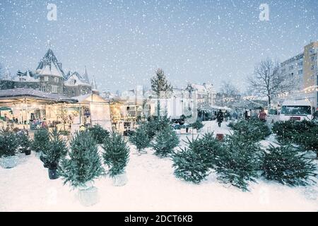 Vista invernale con bancarelle di mercatini che vendono alberi di natale sulla piazza Nieuwmarkt durante la nevicata ad Amsterdam, Paesi Bassi Foto Stock