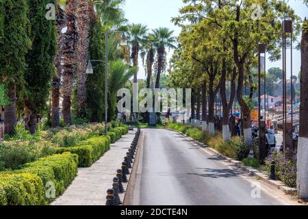 Alberi di palma sulla strada nella città di Bodrum in giornata di sole, costa mediterranea, Bodrum, Turchia Foto Stock