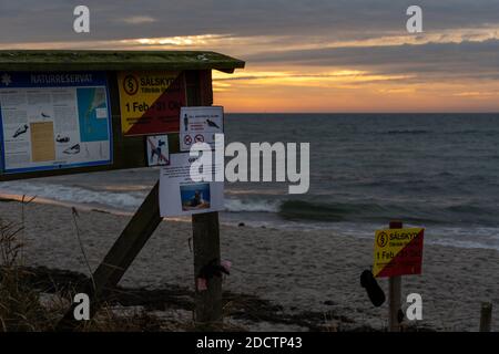 15 novembre 2020 - Falsterbo, Svezia: Una bacheca di informazioni fuori dalla riserva naturale di Maklapen al tramonto. Questa riserva è molto popolare a causa dei molti uccelli migratori e colonie di foche Foto Stock