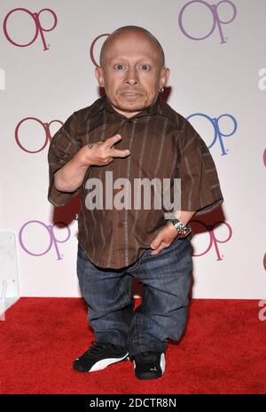 File photo - Verne Troyer in arrivo per l'Ocean Pacific Clothing Line Party tenuto in una residenza privata a Beverly Hills, Los Angeles, CA, USA il 3 giugno 2008. Verne Troyer, meglio conosciuto per aver giocato a Mini-Me nei film di Austin Powers, è morto all'età di 49 anni. Troyer, alto 81 cm, ha giocato anche Grifhook nel primo film di Harry Potter. Foto di Lionel Hahn/ABACAPRESS.COM Foto Stock