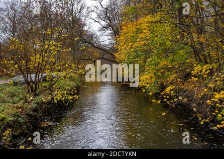 Un fiume che galleggia attraverso una colorata foresta autunnale. Foto della contea di Scania, Svezia Foto Stock