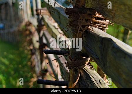 Recinzione medievale del palo del salice usato in agricoltura. Primo piano. Foto Stock