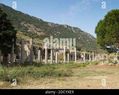 La Harbour Street dell'antica città di Efeso in Turchia Foto Stock