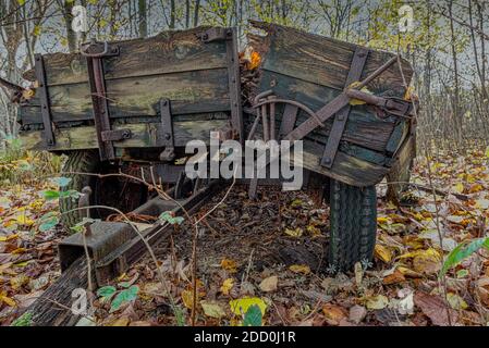 Una carrozza trainata da cavalli dilapidata tra foglie colore, Rands, Danimarca, 15 novembre 2020 Foto Stock