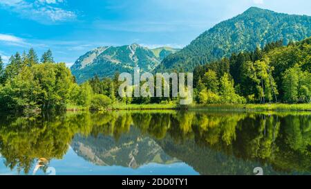 Germania, Allgaeu, le imponenti Alpi del nebelhorn montagne e la foresta che si riflette in acque silenziose del lago di Moorweiher a oberstdorf Foto Stock