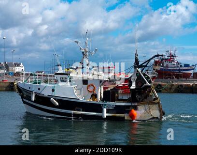 Barche da pesca nel porto di Guilvinec o le Guilvinec un comune nel dipartimento del Finistère della Bretagna nel nord-ovest della Francia. Foto Stock
