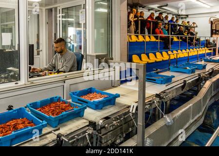 Asta catalana di pesce a Palamós, Spagna Foto Stock