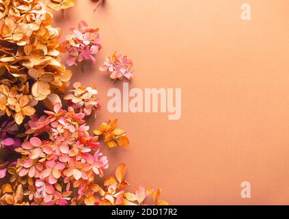 Fiori secchi di idrangea su carta marrone. Sfondo floreale. Vista dall'alto. Spazio per il testo. Foto Stock