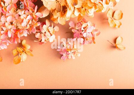 Fiori secchi di idrangea su carta marrone. Sfondo floreale. Disposizione piatta, vista dall'alto. Foto Stock