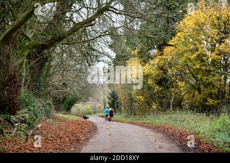 Le persone che camminano lungo una corsia di campagna verso Swerford con la loro Cani Oxfordshire Inghilterra UK Foto Stock