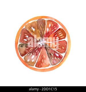 Spezie per il VIN brulé - anice, cannella, arancio secco. Anice, cannella, arancio secco. Foto Stock