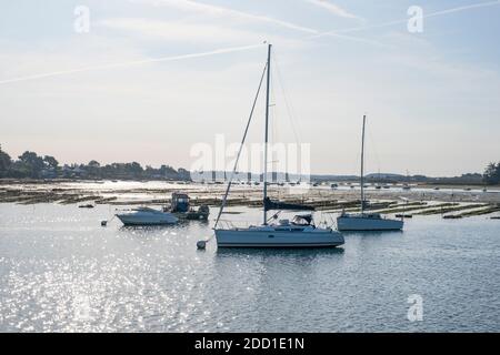 La prima mattina luce sulle barche ormeggiate vicino Oyster letti nel Golfe du Morbihan - Golfo di Morbihan - Bretagna, Francia Foto Stock