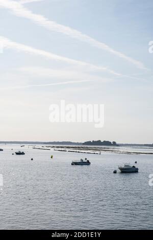 La prima mattina luce sulle barche ormeggiate vicino Oyster letti nel Golfe du Morbihan - Golfo di Morbihan - Bretagna, Francia Foto Stock