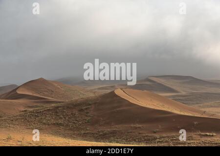 La mattina presto - luce nebbiosa sul deserto di Badain Jaran. Mongolia interna-Cina-1133 Foto Stock