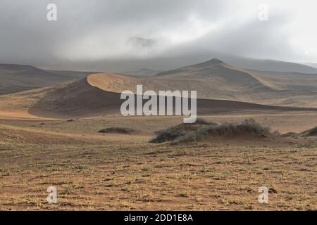 La mattina presto - luce nebbiosa sul deserto di Badain Jaran. Mongolia interna-Cina-1135 Foto Stock