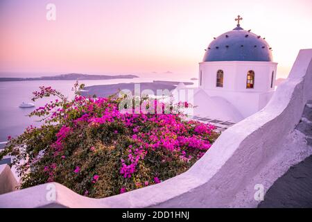 Splendida vista con case bianche, tramonto sulla famosa cupola greca resort fiorisce Grecia, Europa. Sfondo in viaggio. Vacanza artistica del paesaggio estivo Foto Stock