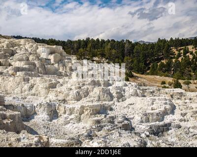 Depositi di zolfo sulle colline vicino alle sorgenti termali di Mammoth, Yellowstone National Park, MO, USA Foto Stock