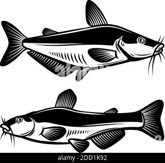 Set di illustrazione del pesce gatto in stile di incisione. Elemento di design per logo, etichetta, cartello, poster, t-shirt. Illustrazione vettoriale Illustrazione Vettoriale