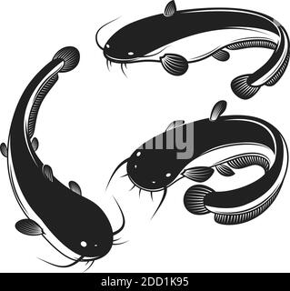 Set di illustrazione del pesce gatto in stile di incisione. Elemento di design per logo, etichetta, cartello, poster, t-shirt. Illustrazione vettoriale Illustrazione Vettoriale