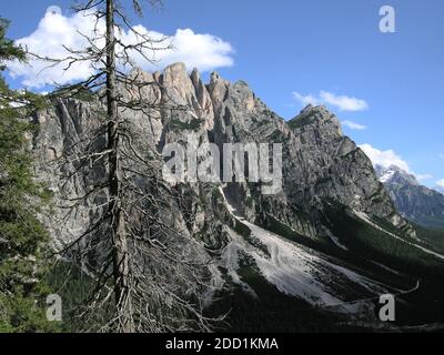 Vista dal sentiero che scende col Rosa attraverso la valle fino a Punta Fiames mostrando la faccia est, con il pino morto in primo piano. Foto Stock