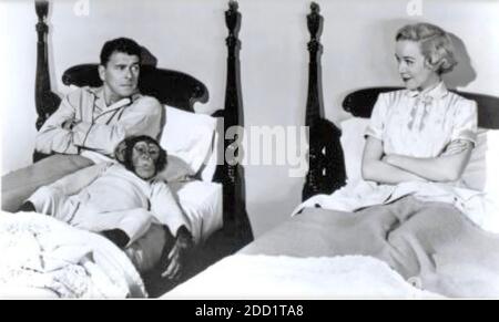 BEDTIME PER BONZO 1951 Universal film internazionale con Diana Lynn E Ronald Reagan Foto Stock