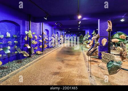 FUNCHAL, MADEIRA - 04 LUGLIO 2014: Mostra dei segreti della madre natura al Museo Monte Palace di Madeira, Portogallo Foto Stock