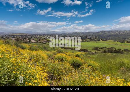 Vista primaverile di Thousand Oaks con cielo nuvoloso nella contea di Ventura, California. Foto Stock