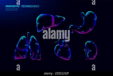 Set di logo della medicina con l'icona dell'organo umano. Polmoni cuore rene fegato stomaco interno organo. Banner medico farmacia online illustrazione vettoriale Illustrazione Vettoriale