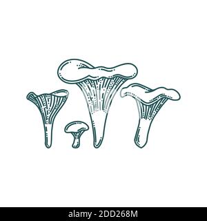 Funghi chanterelle in stile doodle. Funghi di foresta o di fattoria di dimensioni diverse. Illustrazione vettoriale Doodle Illustrazione Vettoriale
