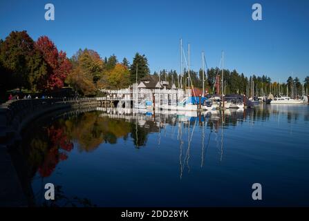 Porticciolo di Coal Harbour Stanley Park. Stanley Park Reflects a Coal Harbour presso il Vancouver Rowing Club. Foto Stock