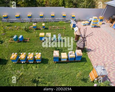 Ci sono molti alveari delle api nel nuovo apiary. Apicoltura industriale Foto Stock