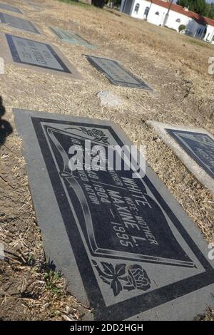 Glendale, California, USA 18 novembre 2020 UNA visione generale dell'atmosfera dell'attore Leo White's grave al Grand View Memorial Park il 18 novembre 2020 a 1341 Glenwood Road a Glendale, California, USA. Foto di Barry King/Alamy Stock foto Foto Stock