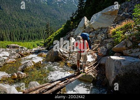 WA18468-00...WASHINGTON - pericoloso attraversamento del torrente su stretti tronchi spugnosi lungo il PCT nella Valle del fiume Cle Elum, Alpine Lakes Wilderness. Foto Stock