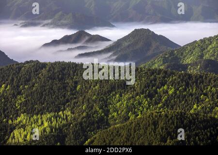 Ad ovest di henan funiu al mattino Foto Stock