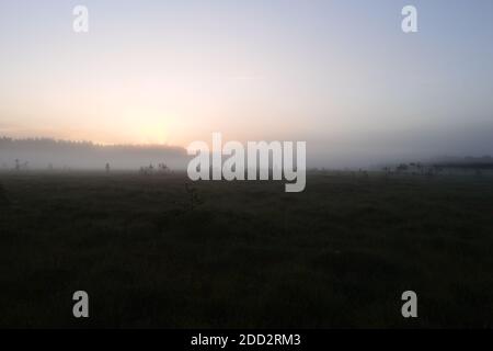 Il sole che sale brilla su una palude nebbiosa all'alba silenzio di un deserto desolato Foto Stock