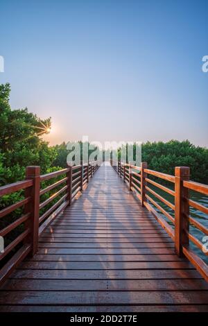 Guangdong Maoming Shuidong Bay Mangrove Plank Road Foto Stock