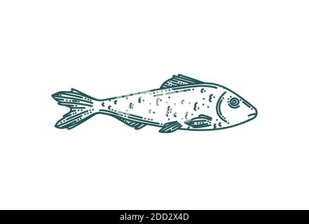 Pesce in stile doodle. Tonno isolato su sfondo bianco. Illustrazione vettoriale Doodle Illustrazione Vettoriale