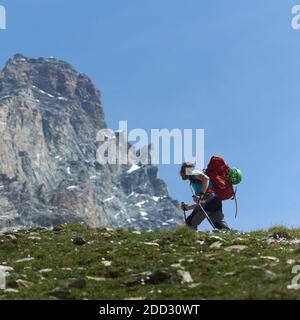 Vista laterale del turista con zaino camminare sull'erba utilizzando bastoni da trekking, bellissimo paesaggio di montagne sullo sfondo. Escursioni in montagna, l'uomo raggiunge la vetta in una soleggiata giornata estiva. Turismo sportivo nelle Alpi. Foto Stock