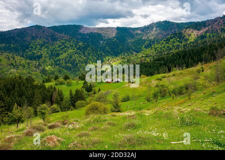 paesaggio rurale di montagna in primavera. foresta e frutteto sulle ripide colline. Scenario di abbandonato villaggio Kuzsbej. Due case in lontananza. cloudy sk Foto Stock