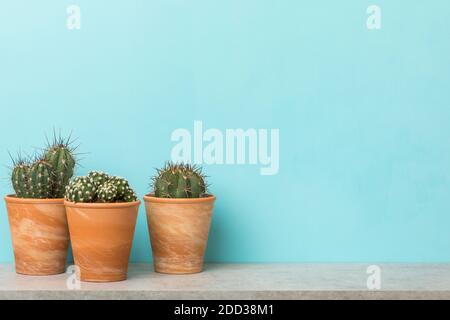 Tre piante di cactus in pentole di creta su una mensola con copia spazio su sfondo blu cielo Foto Stock