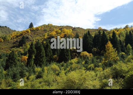 Gansu provincia zhuoni valle gola Foto Stock