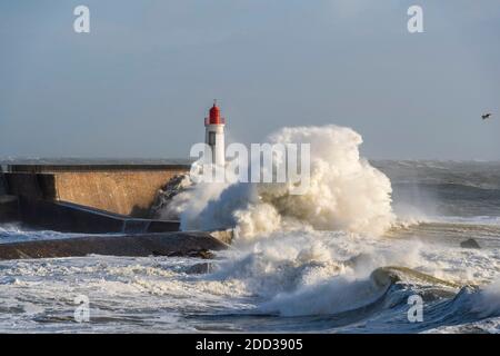 Les Sables d'Olonne (Francia centro-occidentale): Onde che infrangono contro il faro e il molo di Saint-Nicolas durante la tempesta Carmen il 1 gennaio 20 Foto Stock