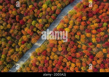 Chang fiori rossi, le tombe Ming a Pechino changping città sette Kong Qiao strada sul lato est Foto Stock