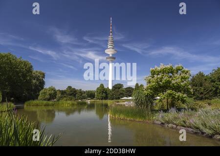 Geografia / viaggio, Germania, Amburgo, Amburgo, Park Planten un Bloomen con torre televisiva, Additional-Rights-Clearance-Info-Not-Available Foto Stock
