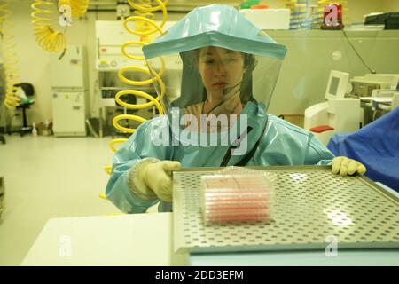 Canada / Winnipeg / SCHAH / Centro scientifico per la salute umana e animale / ricercatori lavorano nel laboratorio nazionale di microbiologia . Foto Stock