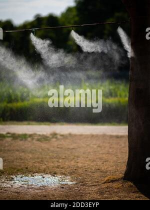 Atomizzatore d'acqua in un parco a Chalon en Champagne (Francia) in una calda giornata di sole in estate Foto Stock