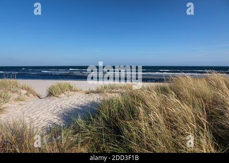 Geografia / viaggio, Svezia, Skane, Loederup, le dune di Sandhammaren, Ystad, Skane, Svezia del Sud, Additional-Rights-Clearance-Info-Not-Available Foto Stock